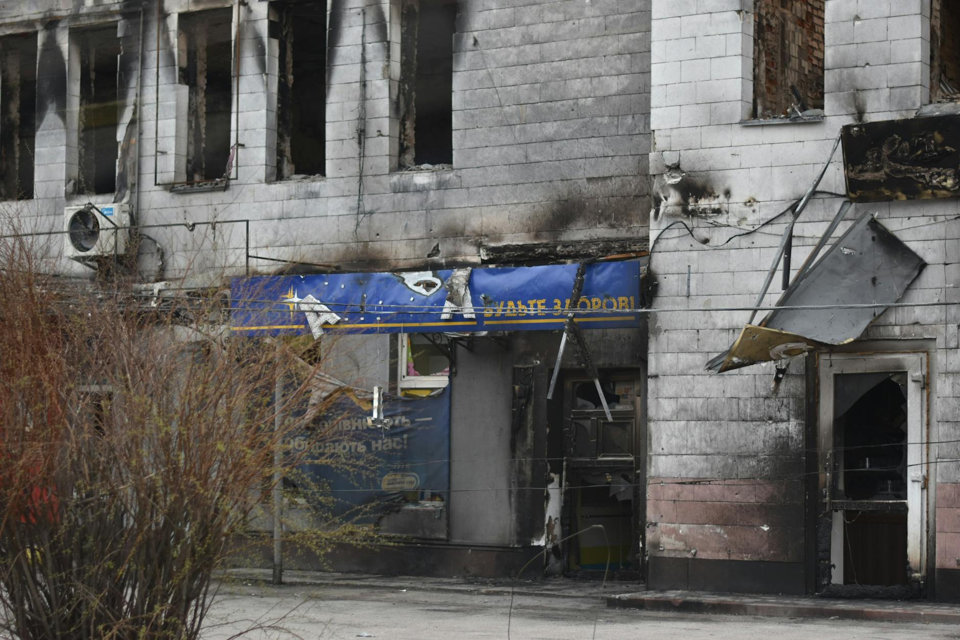 삼청교육대 피해 보상 신청